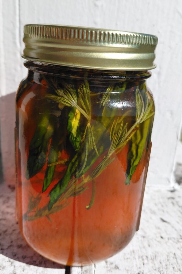 Star Thistle & Sage Infused with Jalapeño and Rosemary 16 oz