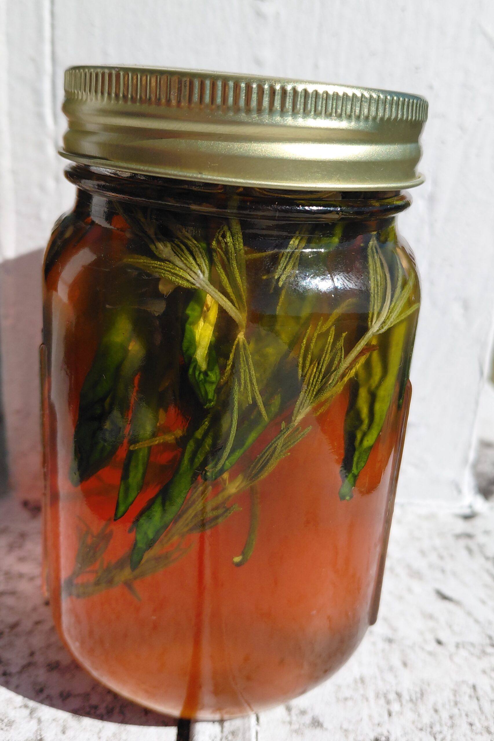 Star Thistle & Sage Infused with Jalapeño and Rosemary 16 oz