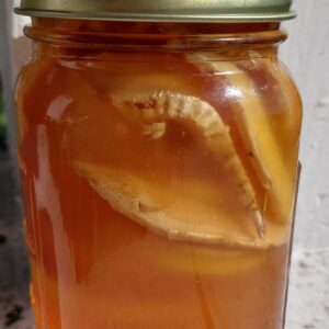 Yummy Honey Orange Blossom Honey Infused with Ginger & Meyer Lemon 16 oz