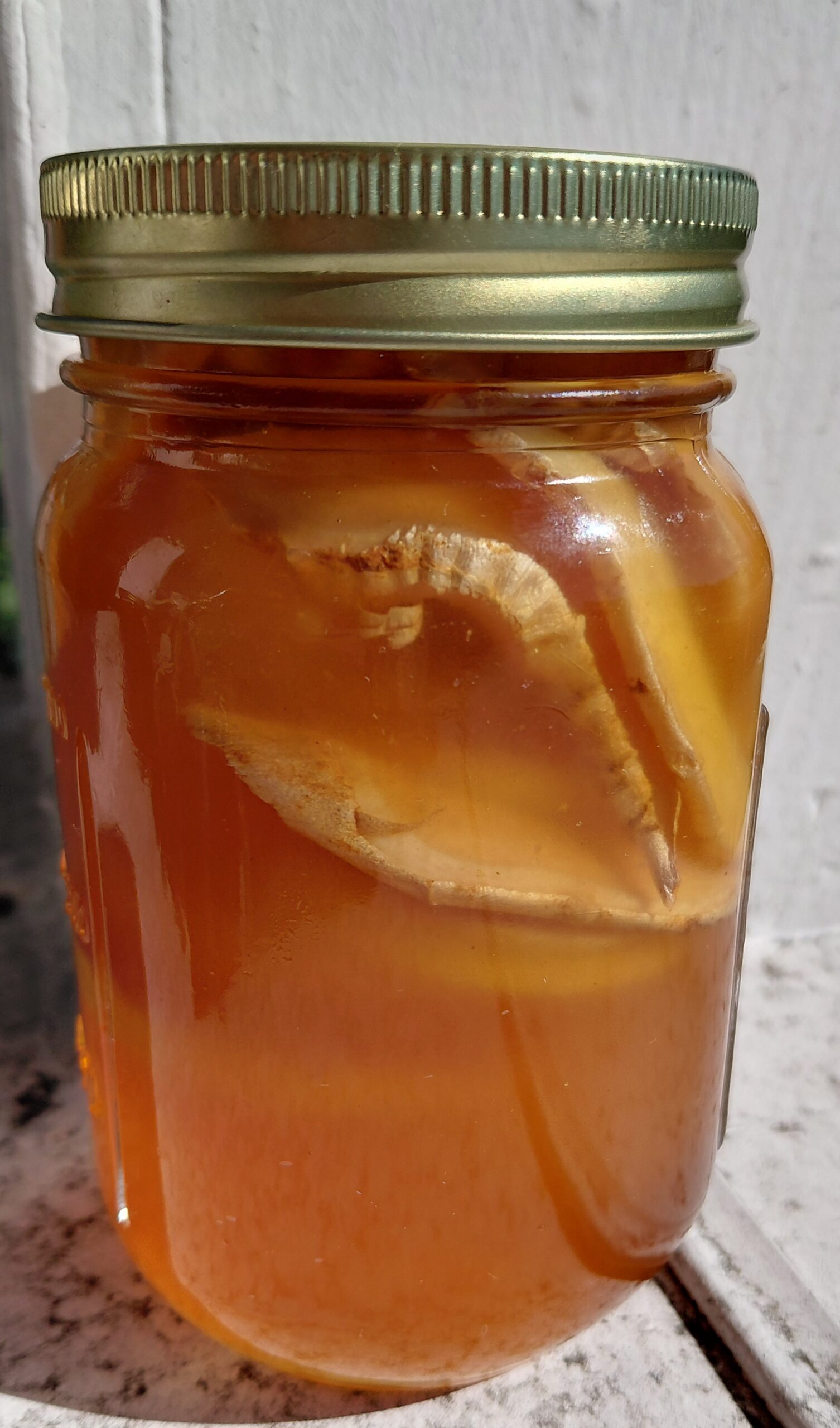 Yummy Honey Orange Blossom Honey Infused with Ginger & Meyer Lemon 16 oz