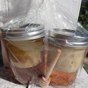 Orange Blossom Body Wash and Body Butter